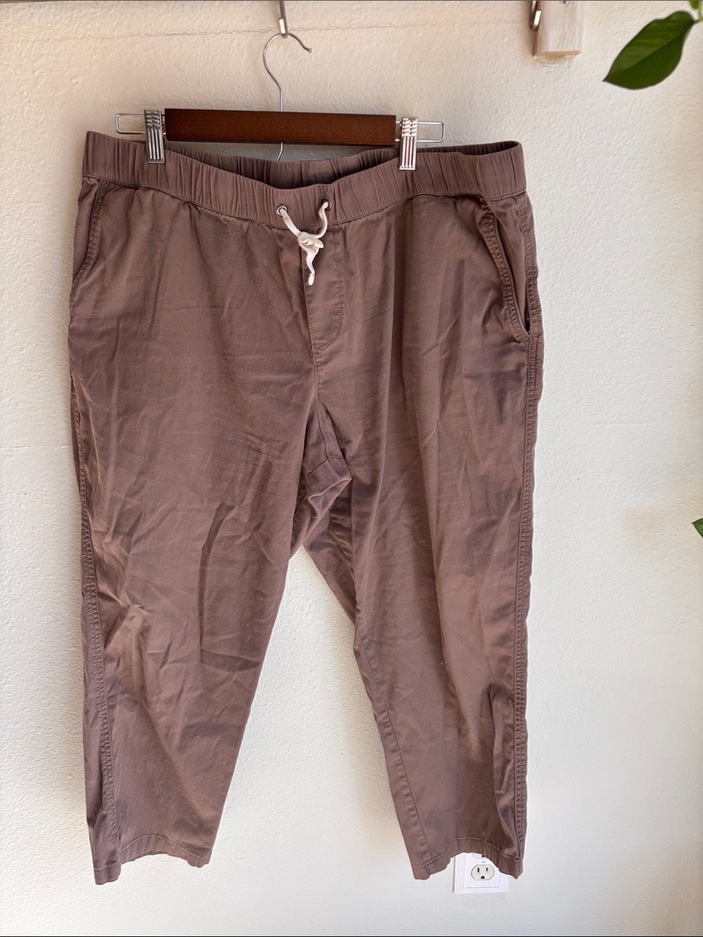 PACT Cropped Relaxed Pull On Neutral Brown Pants XL